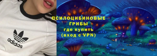 прущий лед Алзамай