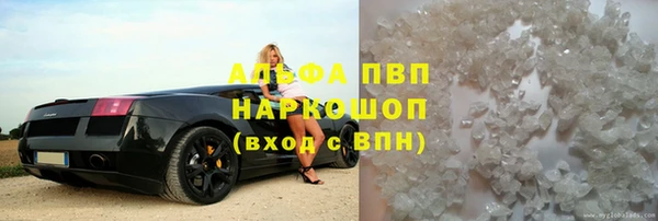 прущий лед Алзамай