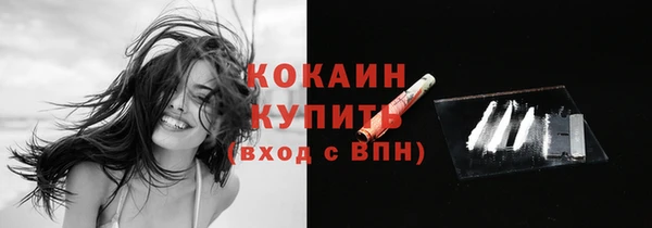 прущий лед Алзамай